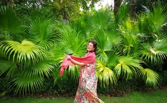 办公室里双飞燕最经典的三个角色